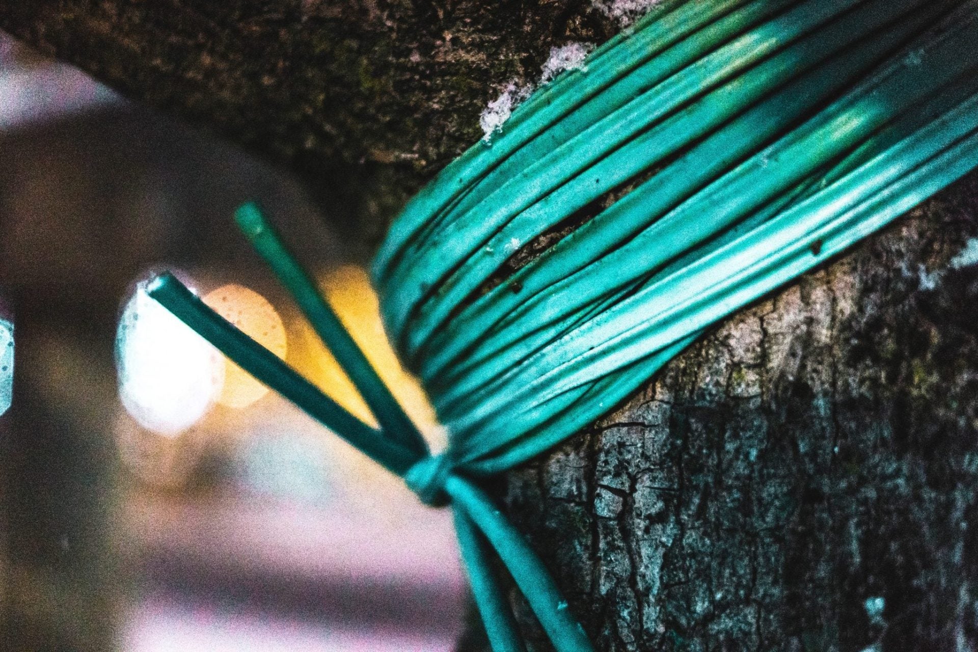 Podcast - Episode 0129 -  Cutting Cords Of Attachment