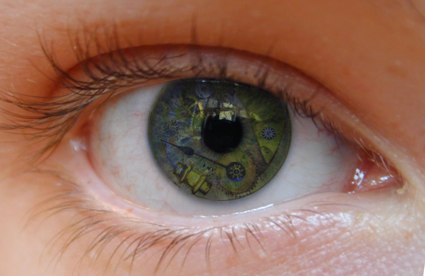 The Myers-Briggs System - An Overview