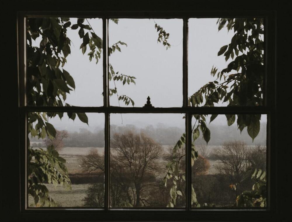 Cognitive Functions And Dirty Windows | Podcast 0437