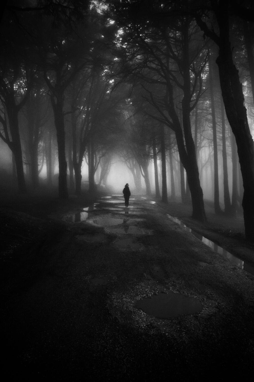 The Dark Side Of Boomers and Gen X In Generational Theory | Podcast 0471