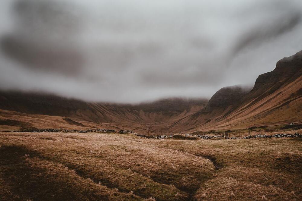 King Of The Wild Things | Podcast 0438