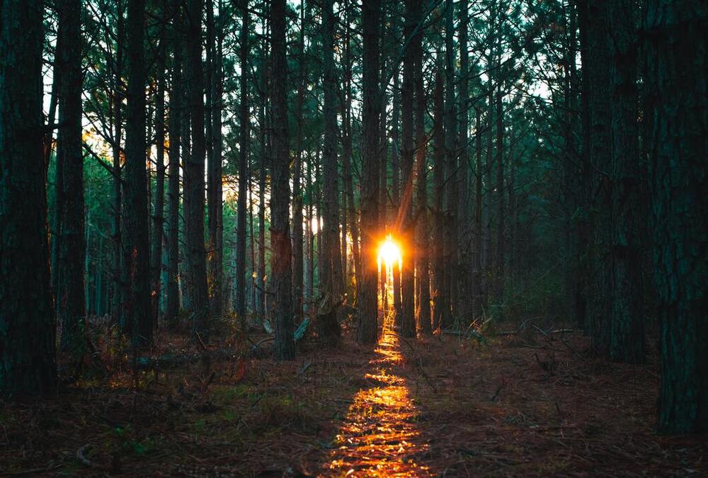 Should We Listen To Our Inner Wisdom? | Podcast 0434