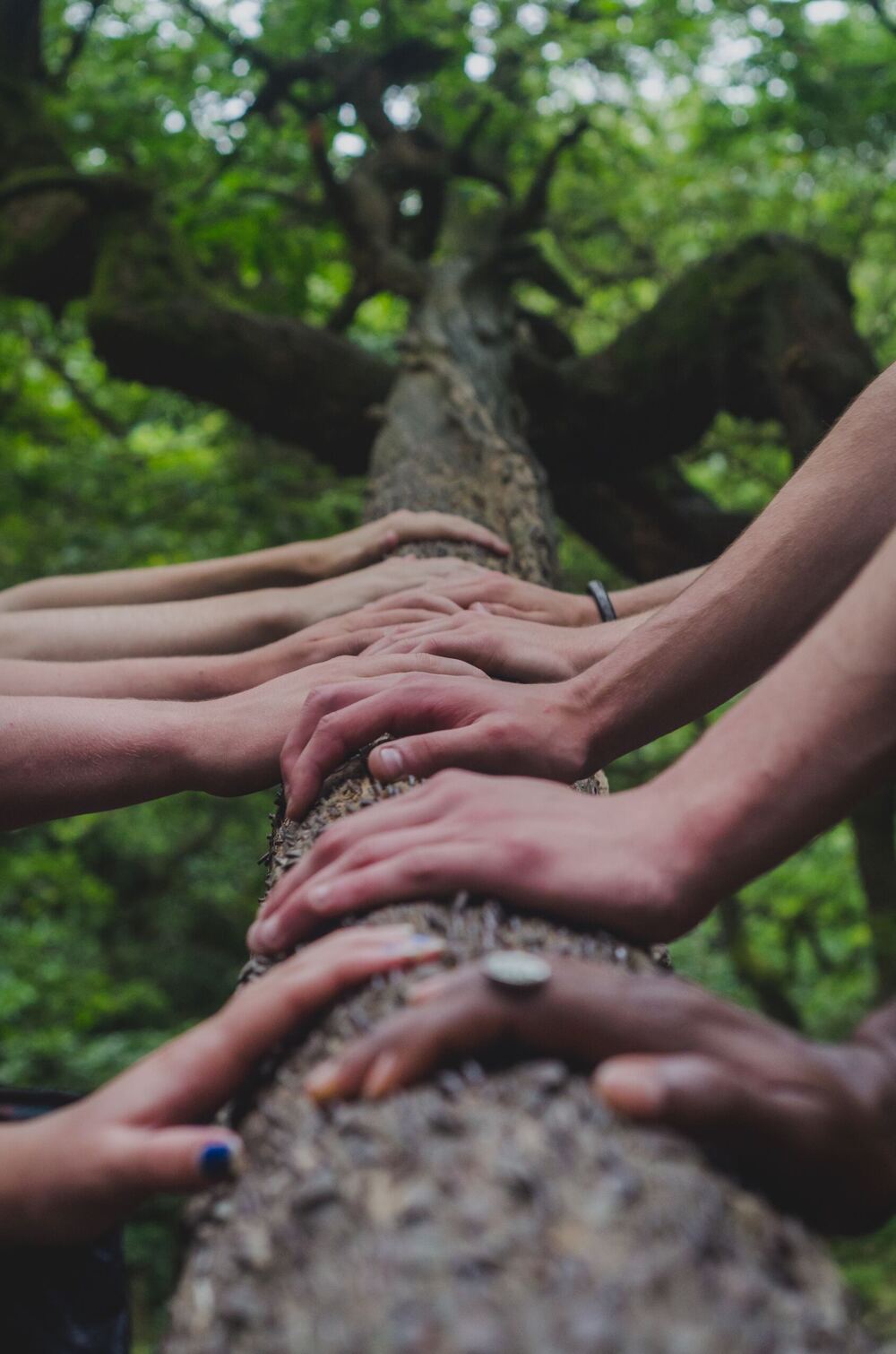 Students Share Personality Type Advice — Live in Pittsburgh | Podcast 0492