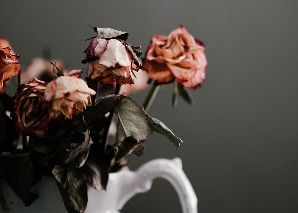 Personality Reflections: The Art of Dying Well | Podcast 505