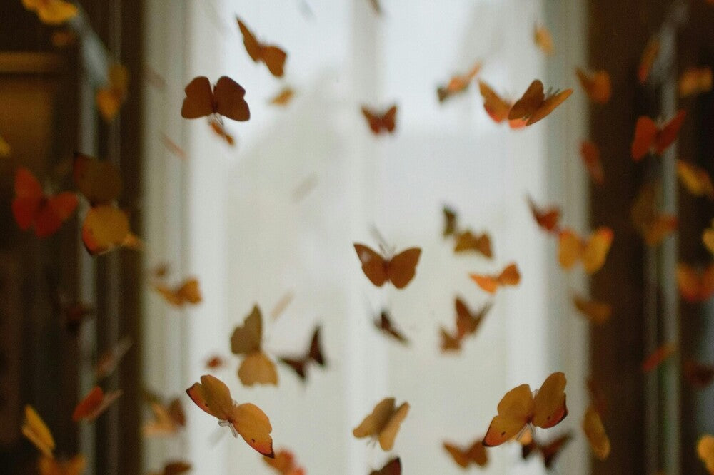 Podcast - Episode 0225 - The Car Model (Your Personality Cognitive Function Stack)