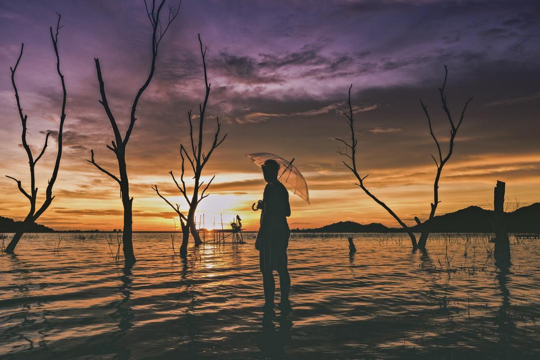 The INFJ Drive for Self-Preservation