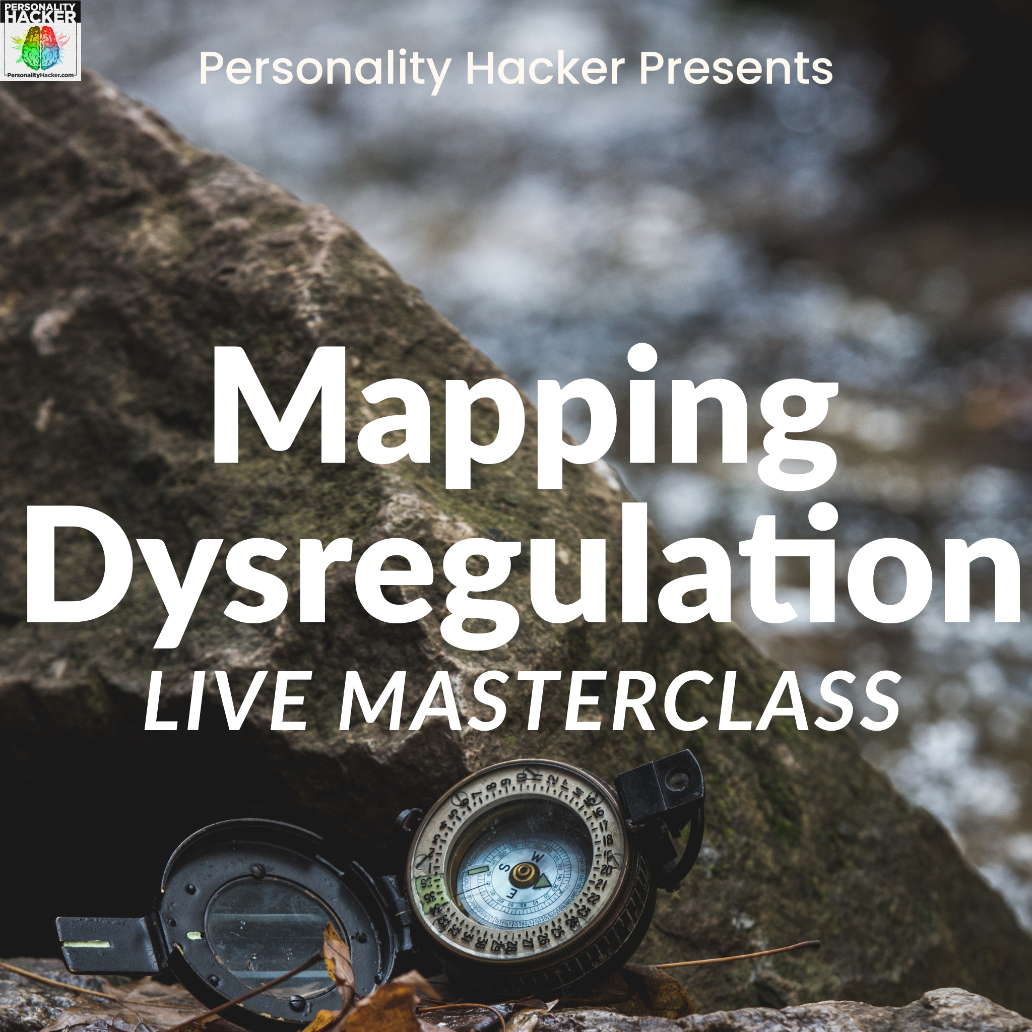 Mapping Dysregulation - Live MasterClass